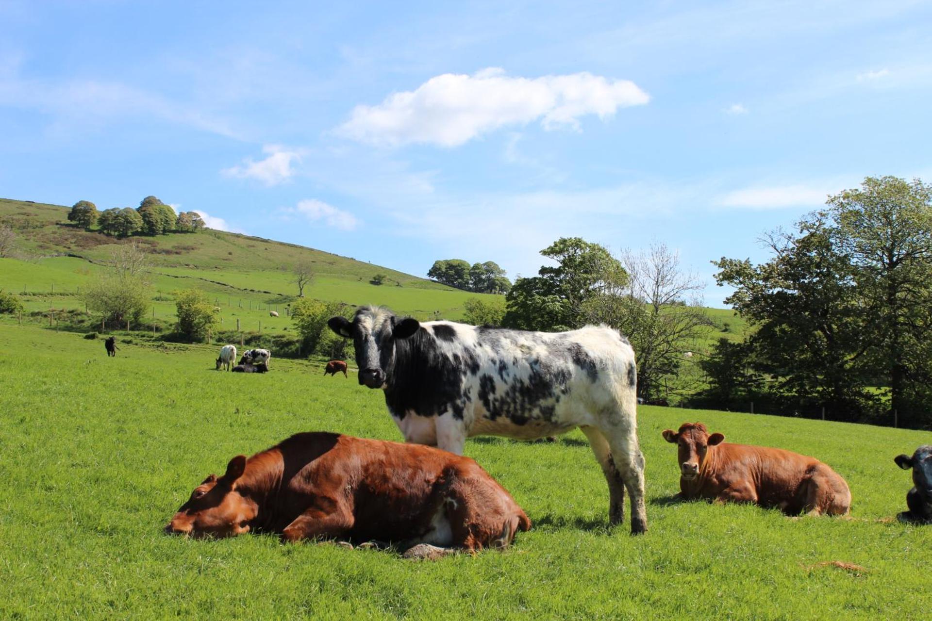 Riding House Farm Cottages Castleton  Exterior foto